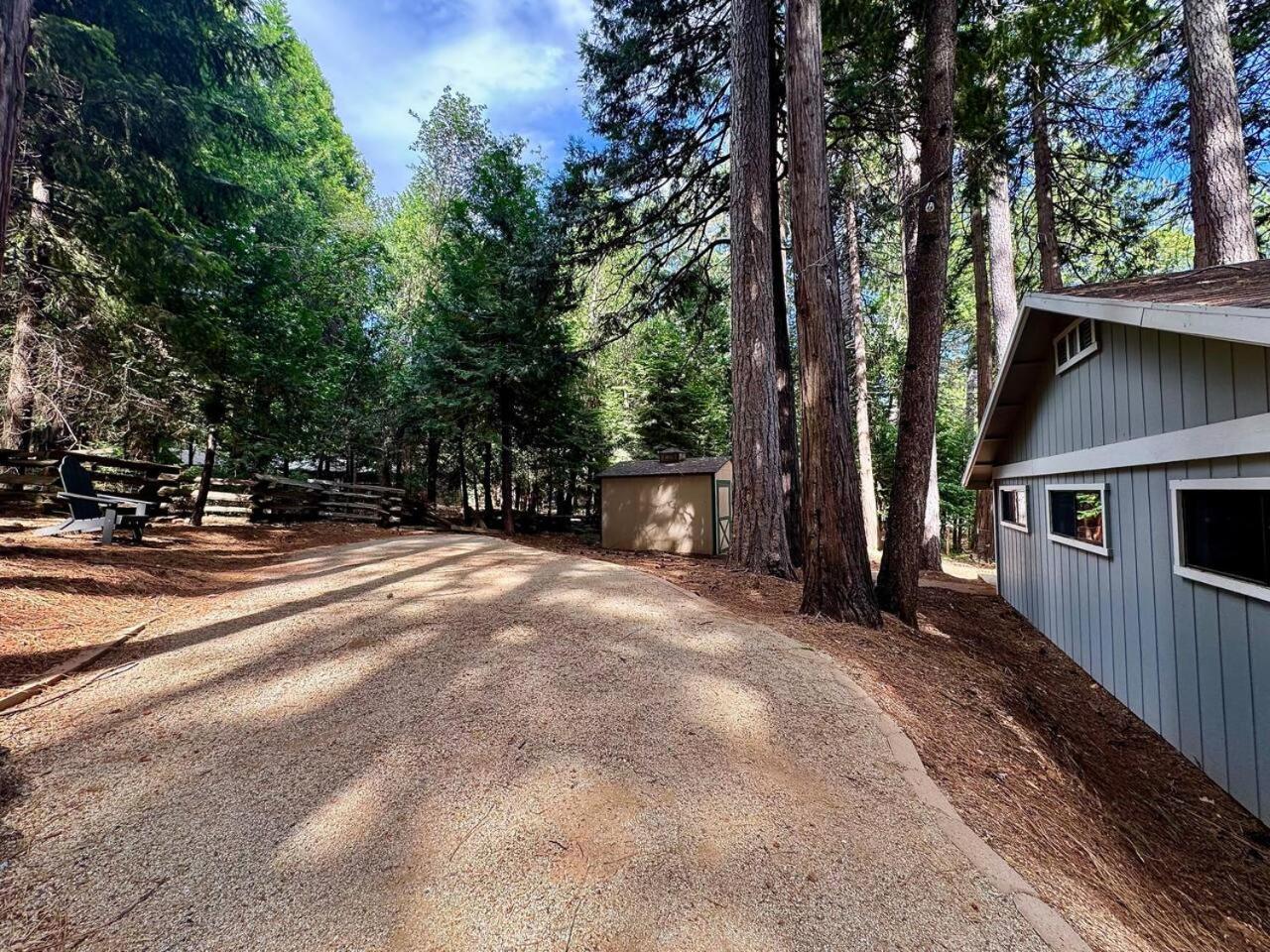 Cabin In The Trees-Game Room Pollock Pines Dış mekan fotoğraf